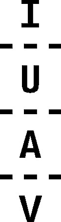 IUAV
